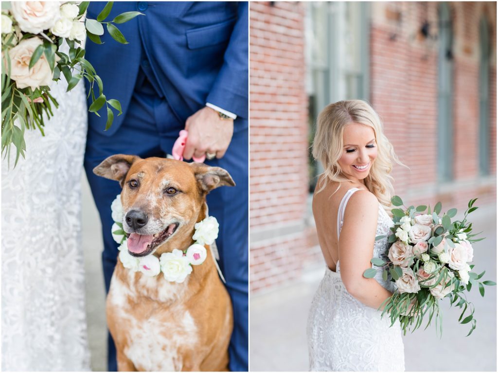 university of tampa wedding photos and dog