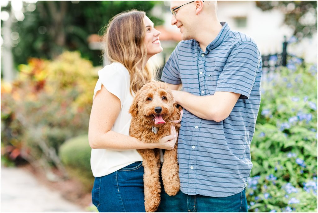Couple walking with mini golden doodle in downtown St. Petersburg Florida