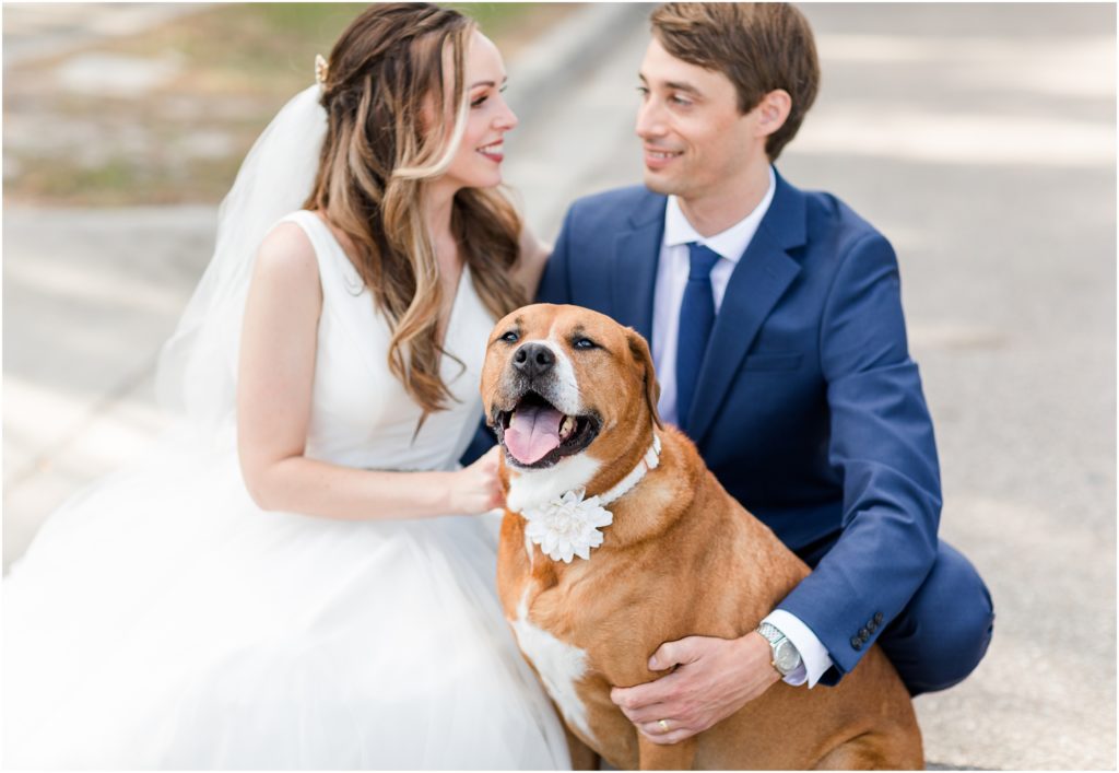 Fairytale Petcare dog at wedding