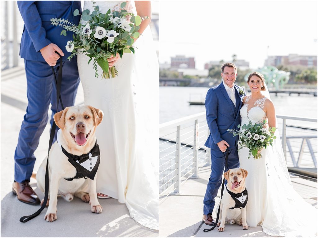 fairy tale pet care wedding at tampa river center