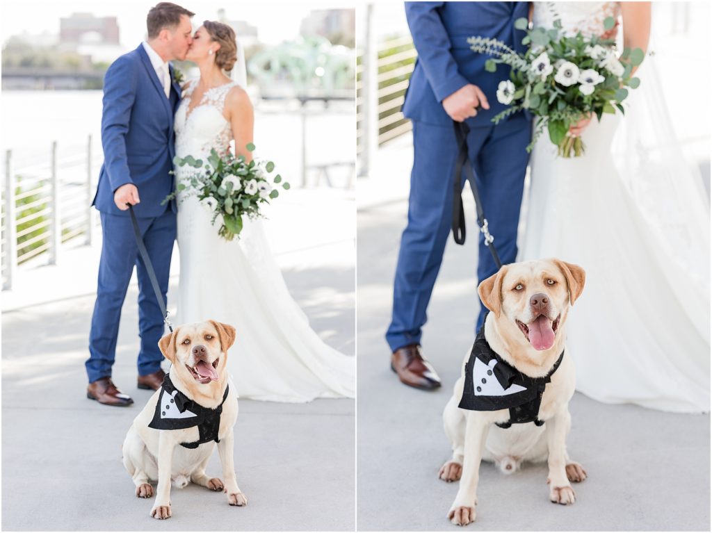 dog in tuxedo at florida wedding