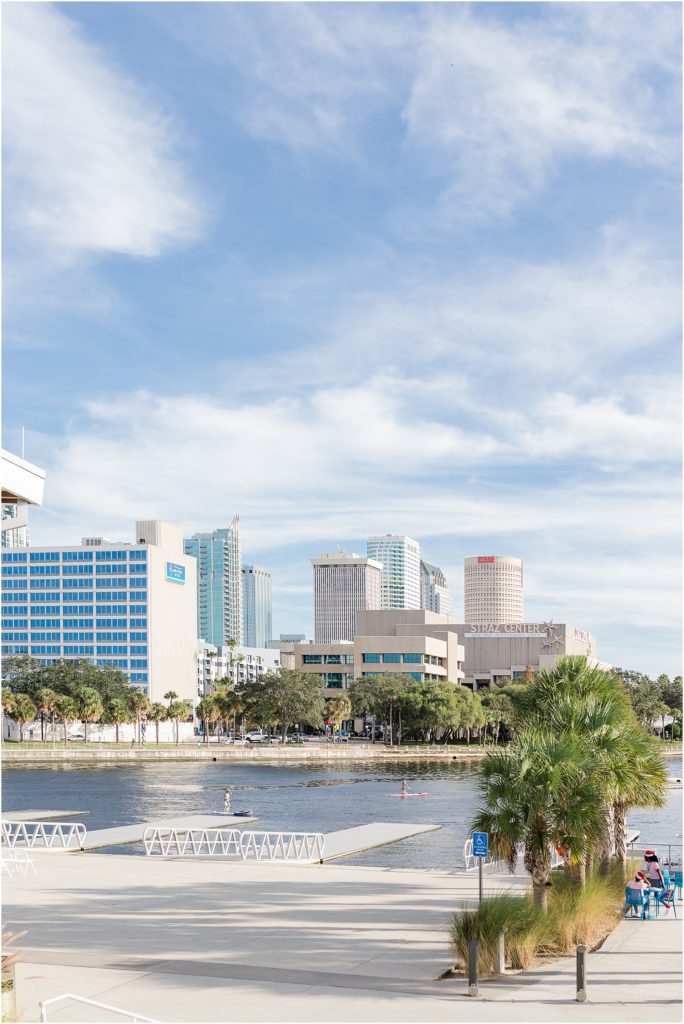 skyline view from tampa river center